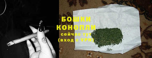 ешки Арсеньев
