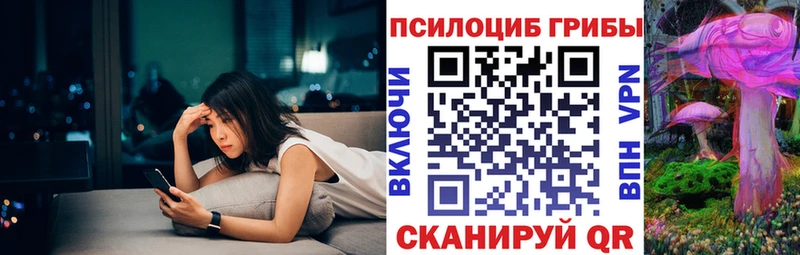 Галлюциногенные грибы мицелий  купить наркотик  Николаевск-на-Амуре 